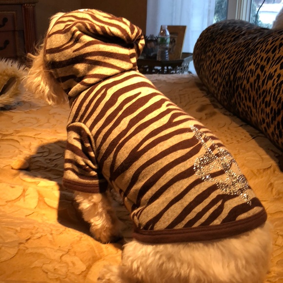 Hip Doggie Hoodie Sweater - Picture 2 of 6